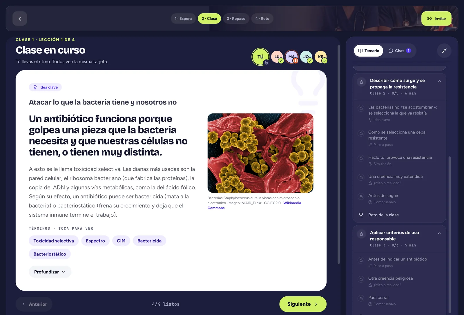 Vista del tema y sus contenidos